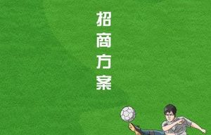 襄阳市足球联赛招商方案,襄阳招商,襄阳市足球招商
